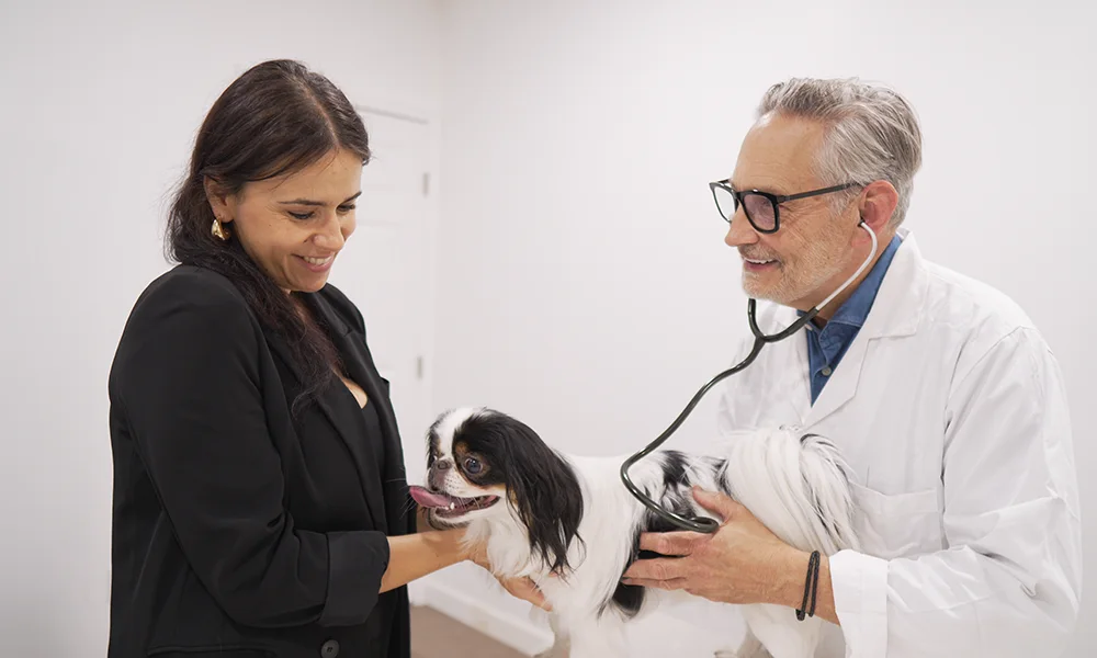 The 2025 Hybrid Model: A DVM Owner’s Guide to a Balanced, Profitable Practice