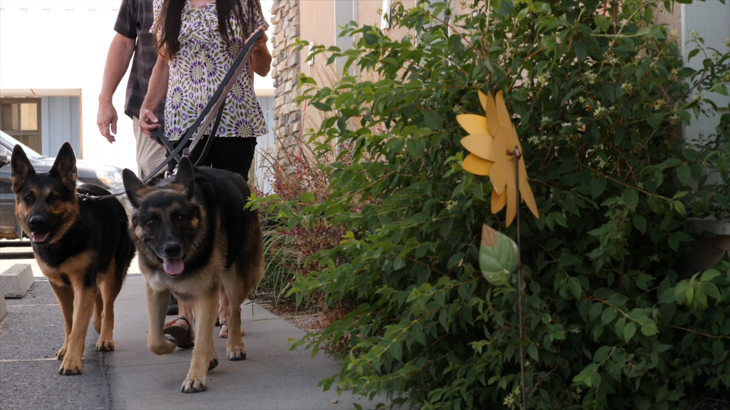 New Clients: The Lifeblood of Your Independent Veterinary Practice